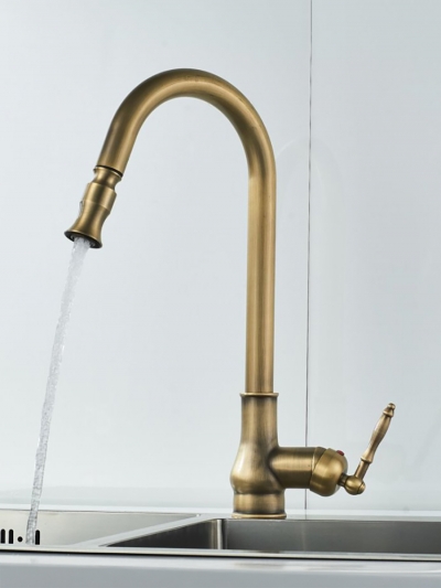 Смеситель для кухни Aurelia с гибким изливом-1